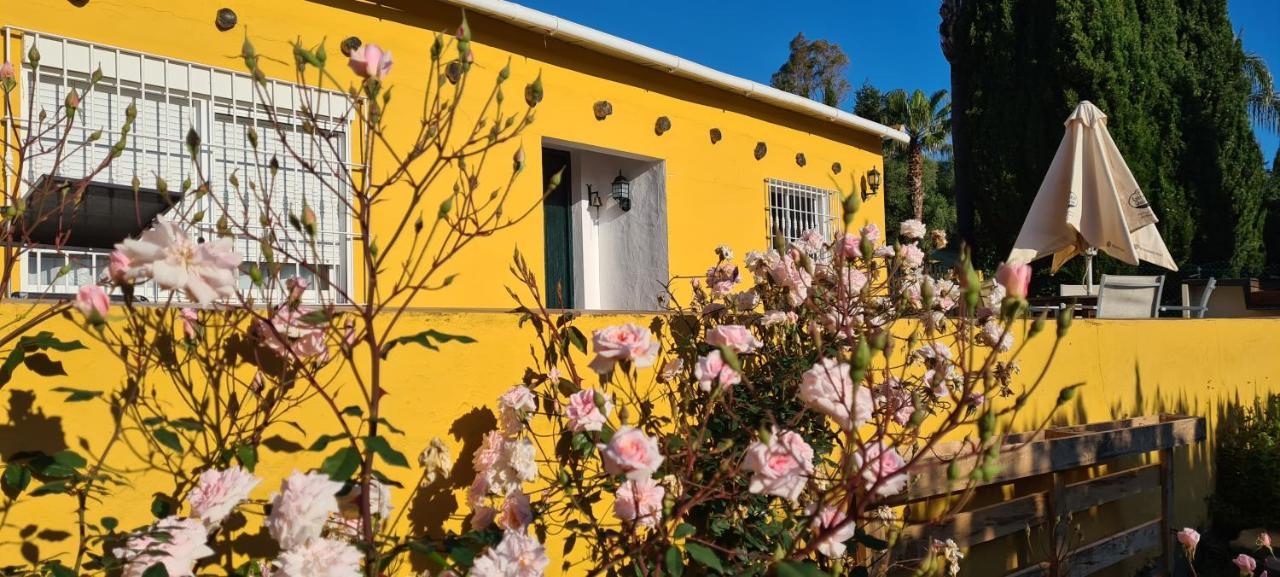 La Alqueria Villa San Martín Kültér fotó