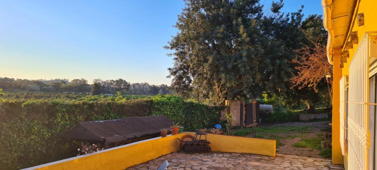 La Alqueria Villa San Martín Kültér fotó
