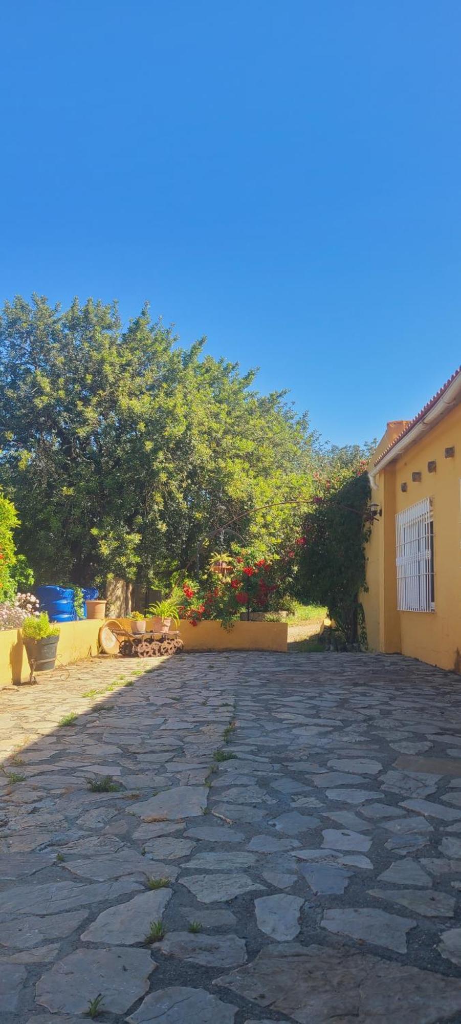 La Alqueria Villa San Martín Kültér fotó